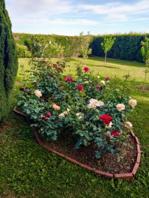 Sun Garden